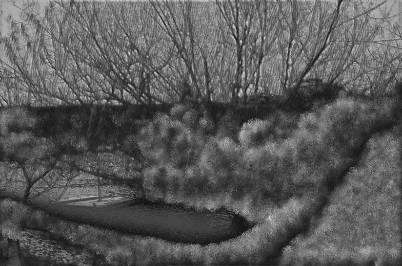 Black-and-white photograph of bare branches above a riverbank. A grey, foam-like mass has grown over the bushes and the bank, leaving only the water and the upper branches recognisable.