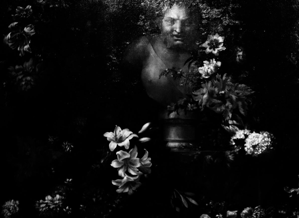 A stone bust at night, surrounded by lilies and hydrangeas.