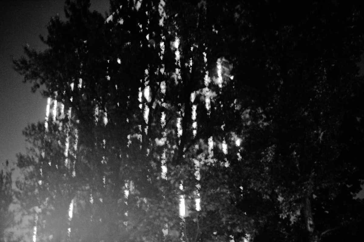 Lit buildings behind trees, which seem to be on fire.